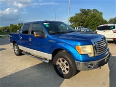 2010 Ford F-150 