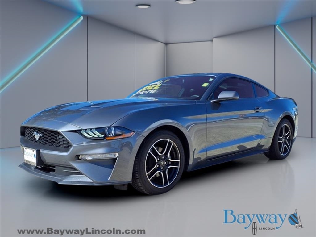Ford Mustang EcoBoost Coupe 2022 Ford Mustang EcoBoost Coupe 2022