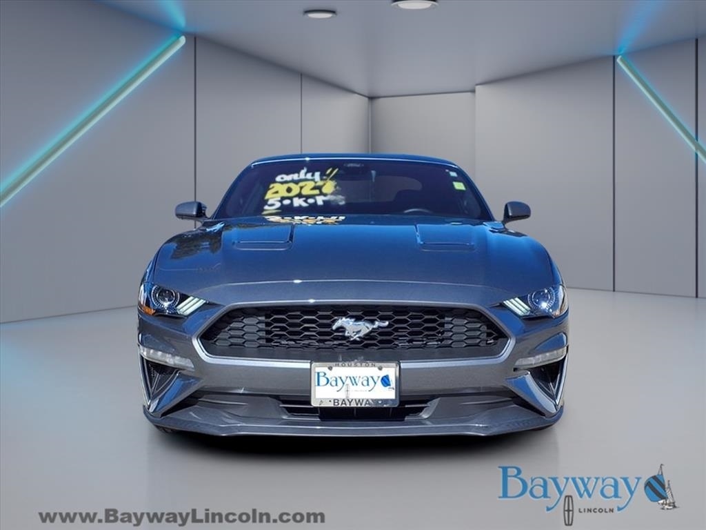 Ford Mustang EcoBoost Coupe 2022 Ford Mustang EcoBoost Coupe 2022