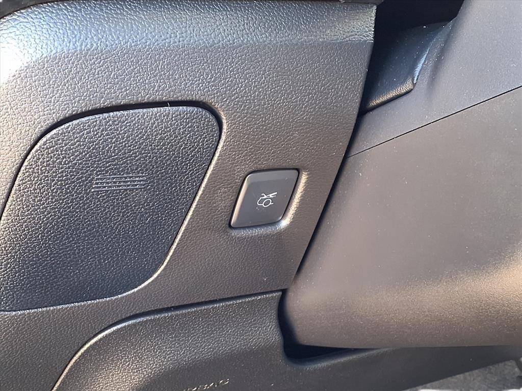 Ford Mustang EcoBoost Coupe 2022 Ford Mustang EcoBoost Coupe 2022