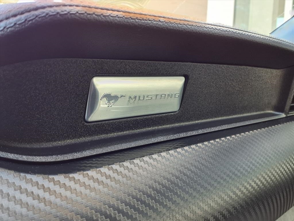 Ford Mustang EcoBoost Coupe 2022 Ford Mustang EcoBoost Coupe 2022