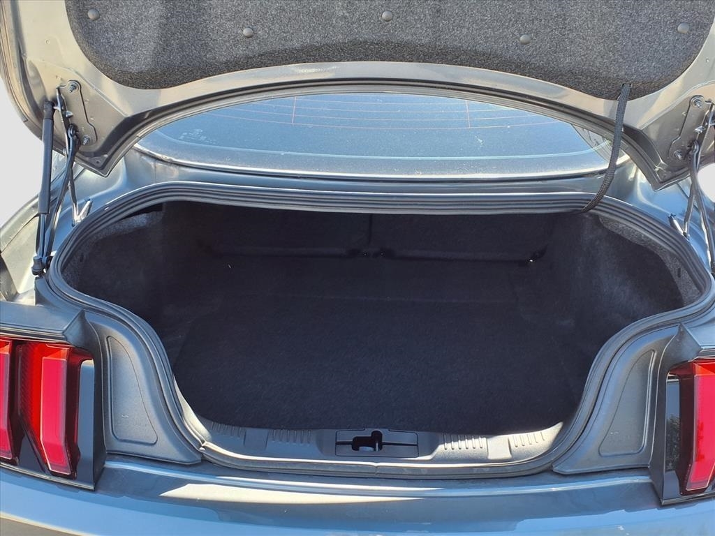 Ford Mustang EcoBoost Coupe 2022 Ford Mustang EcoBoost Coupe 2022