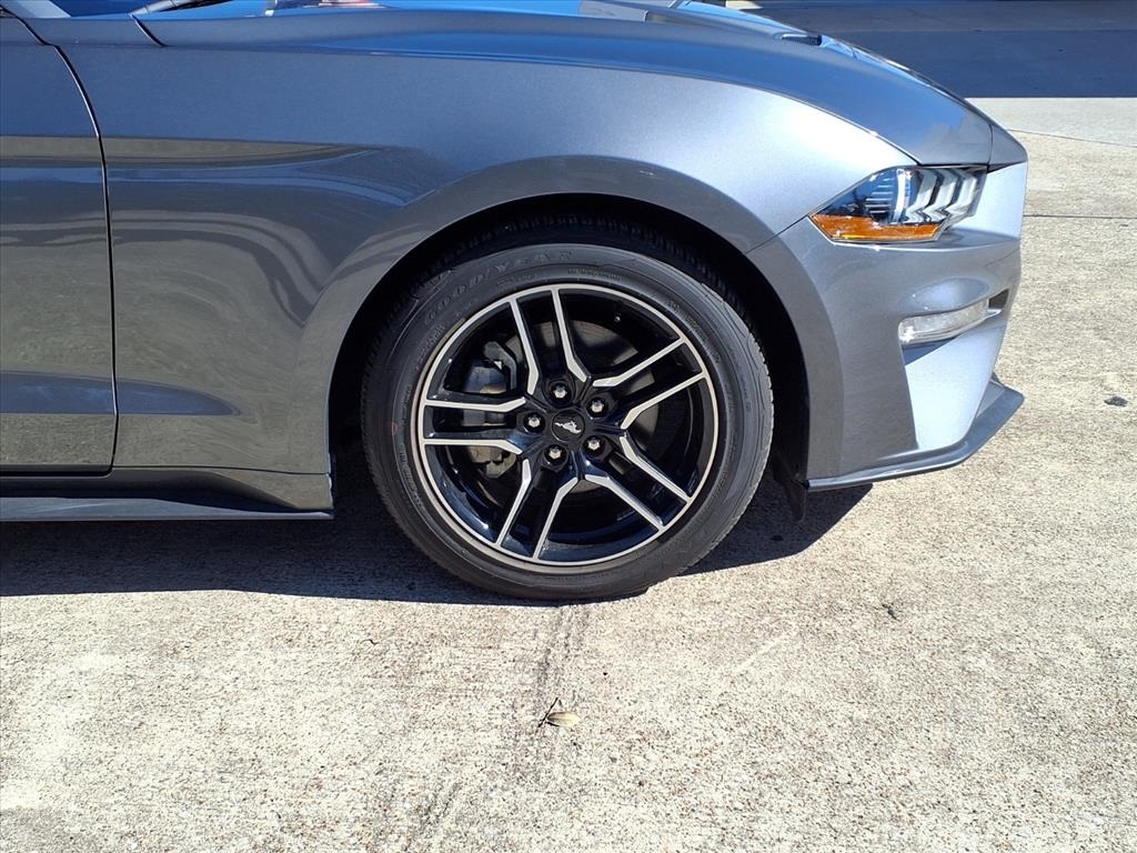 Ford Mustang EcoBoost Coupe 2022 Ford Mustang EcoBoost Coupe 2022