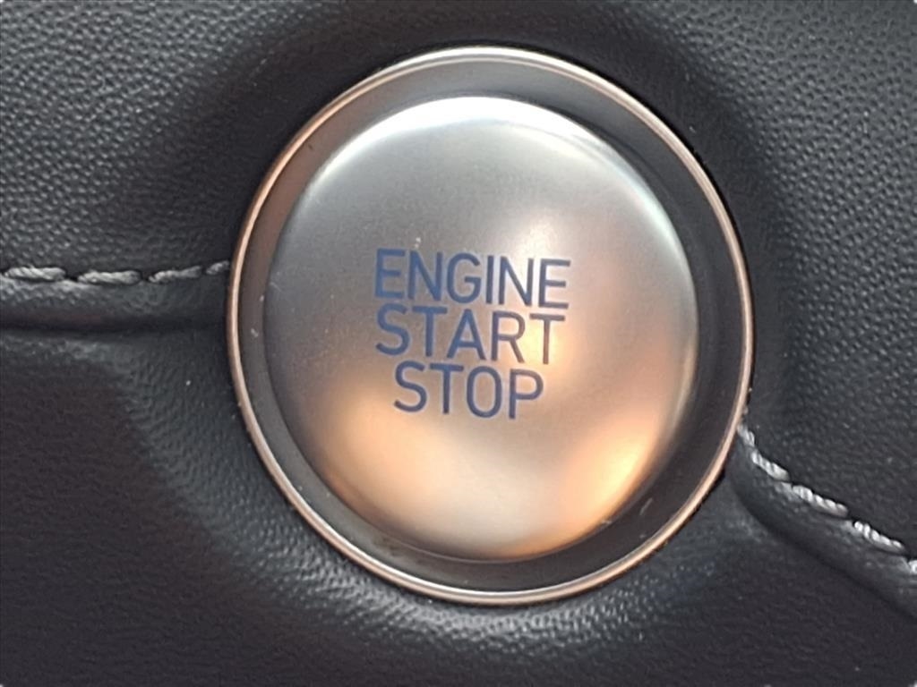 Hyundai Santa Fe Calligraphy AWD 2021