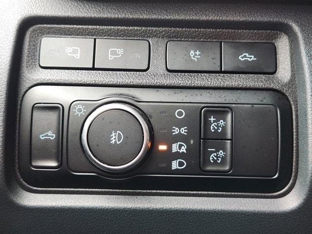 Ford F-250 SD Platinum Crew Cab 4WD 2024