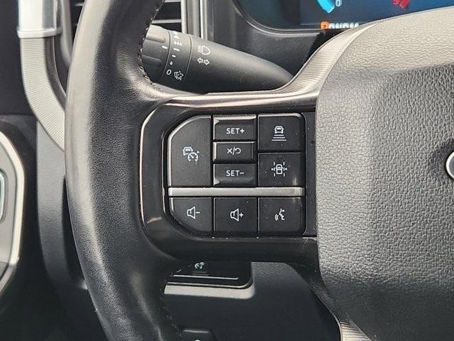 Ford F-250 SD Platinum Crew Cab 4WD 2024