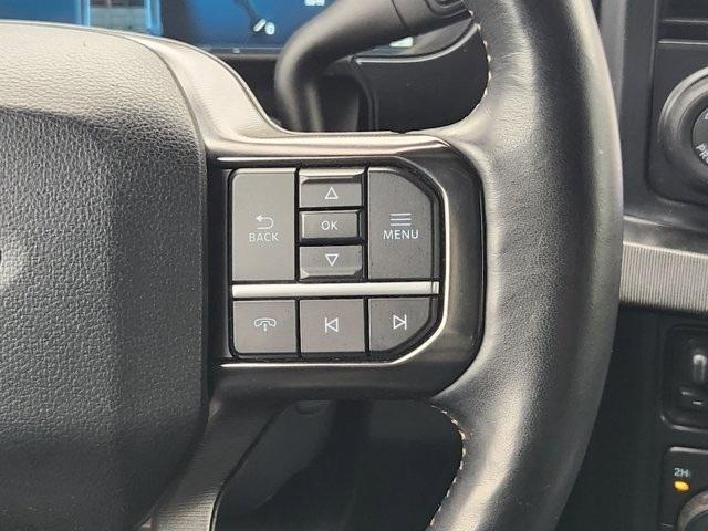 Ford F-250 SD Platinum Crew Cab 4WD 2024