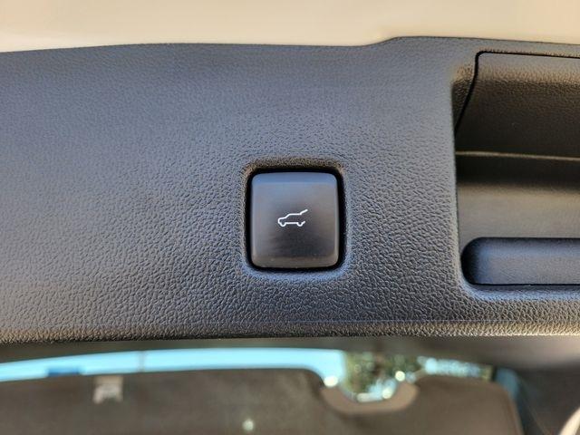 Ford Escape Active 2024