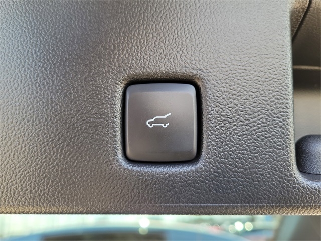 Ford Escape Active 2024