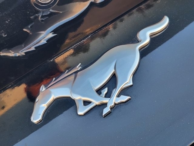 Ford Mustang EcoBoost Premium Convertible 2025