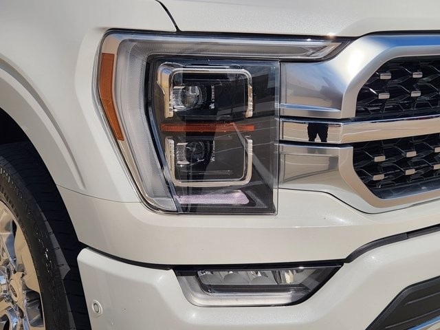 Ford F-150 Platinum SuperCrew 5.5-ft. Bed 4WD 2022