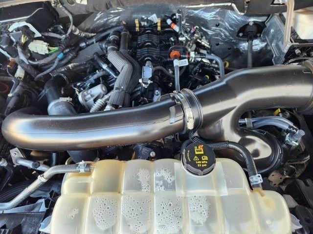 Ford Expedition Limited 2024