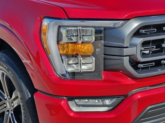 Ford F-150 XLT SuperCrew 6.5-ft. Bed 2WD 2022