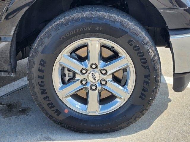 Ford F-150 XLT SuperCrew 4WD 2025