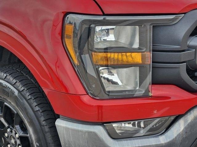 Ford F-150 XL SuperCrew 6.5-ft. Bed 4WD 2023