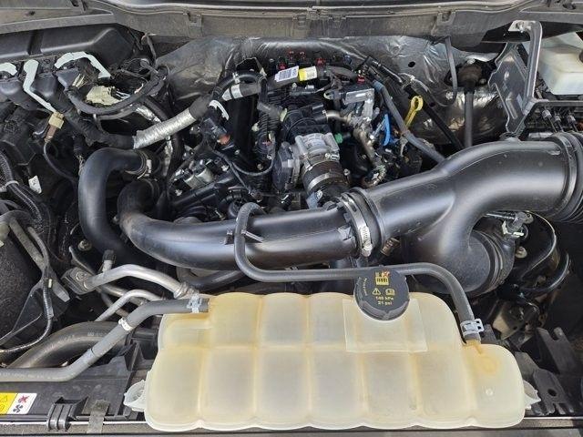 Ford F-150 XLT SuperCrew 6.5-ft. Bed 2WD 2023
