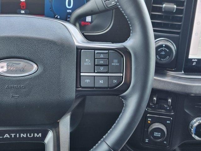 Ford F-250 SD Platinum Crew Cab 4WD 2026