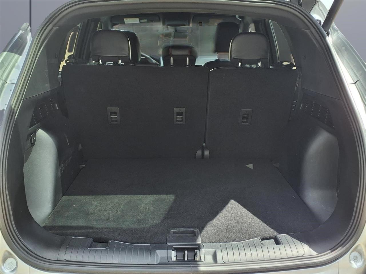 Ford Escape ST-Line 2024