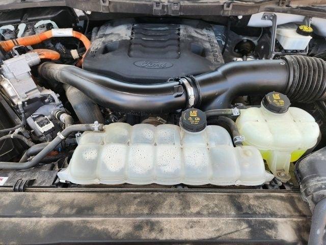 Ford F-150 Platinum SuperCrew 5.5-ft. Bed 4WD 2023