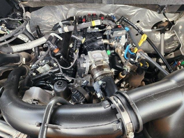 Ford F-150 XLT SuperCrew 6.5-ft. Bed 2WD 2023