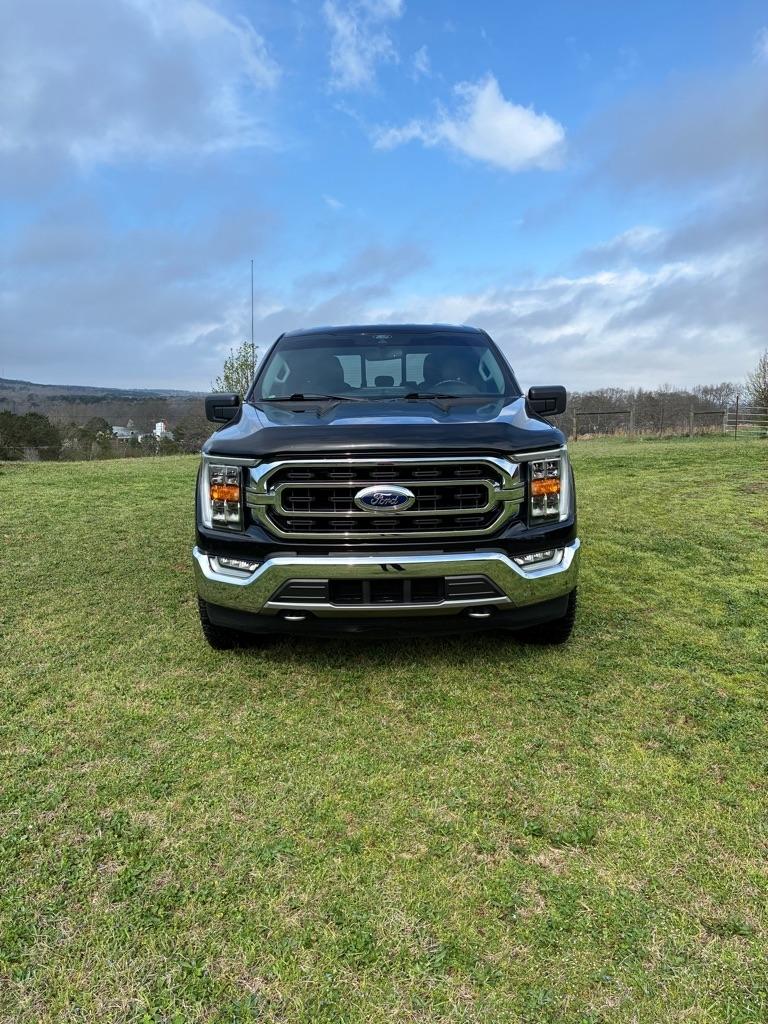 Ford F-150 King Ranch 4WD SuperCrew 5.5' Box 2021