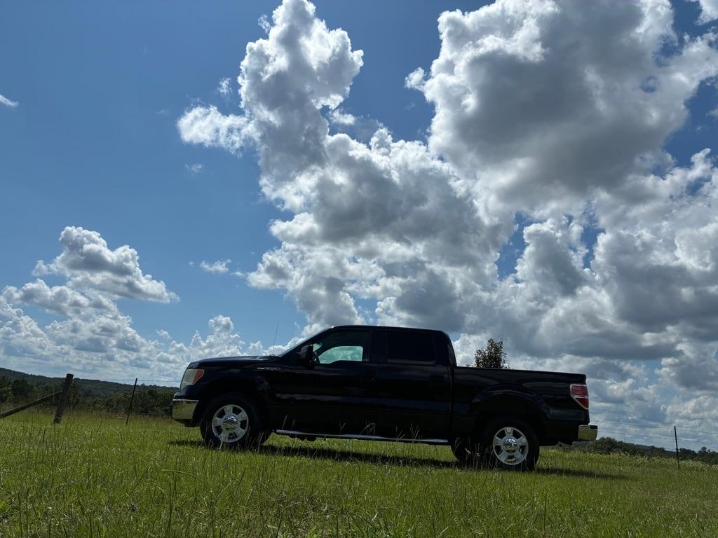 Ford F-150 2WD SuperCrew 150" XLT 2009