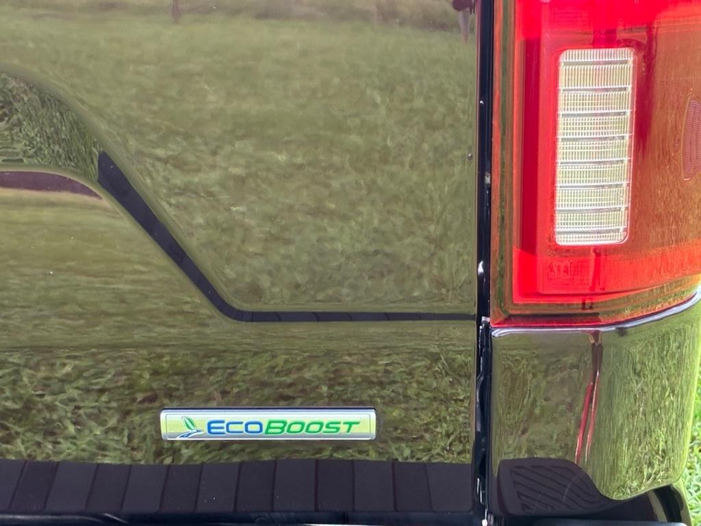 Ford F-150 4WD SuperCrew 139" FX4 2019