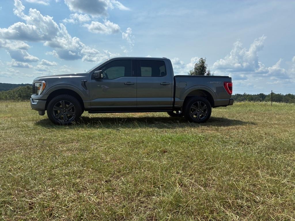 Ford F-150 Lariat 4WD SuperCrew 5.5' Box 2023