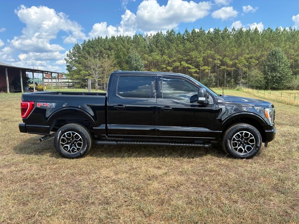 Ford F-150 XLT 4WD 2022