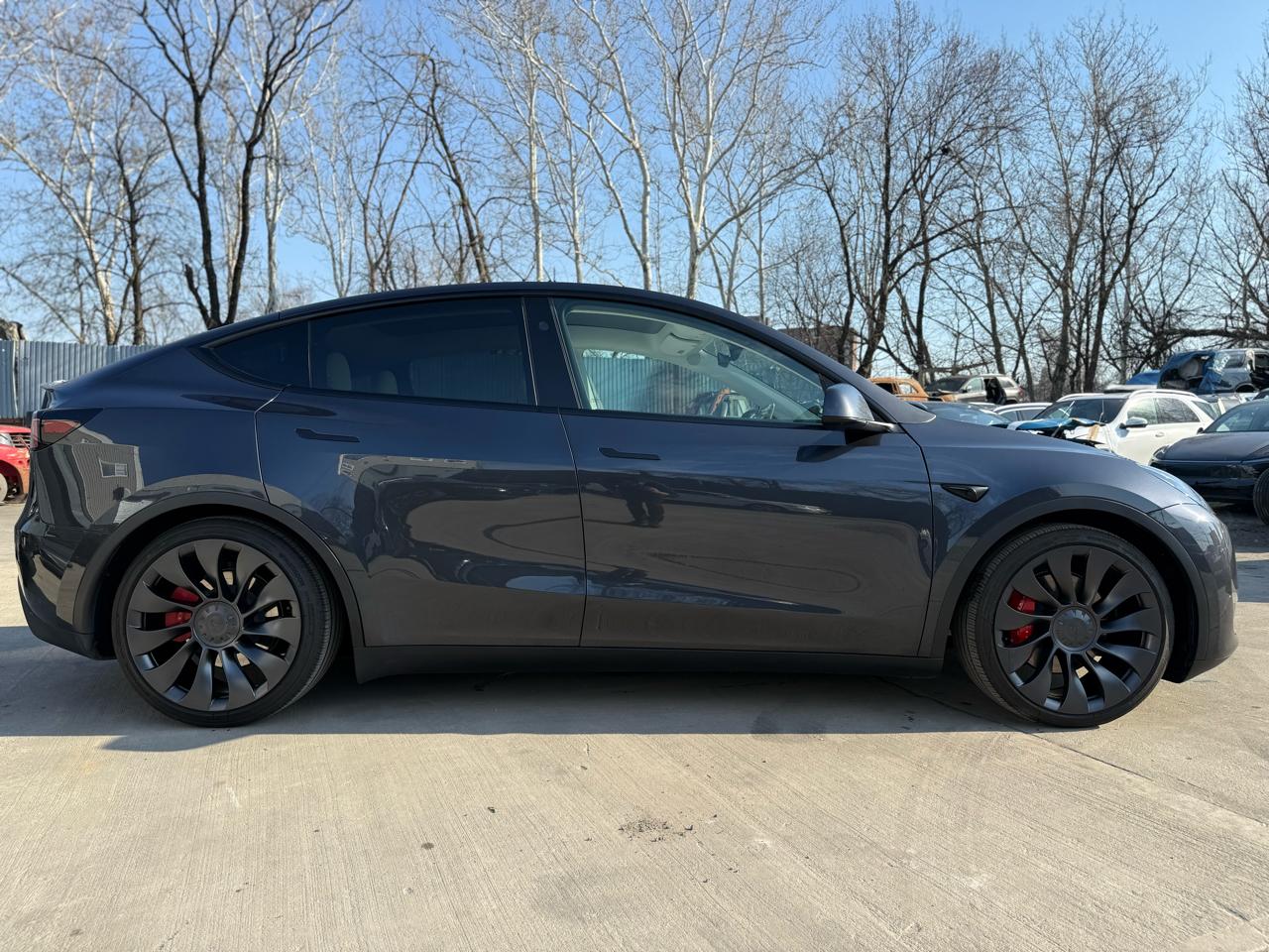 Tesla Model Y Performance 2025