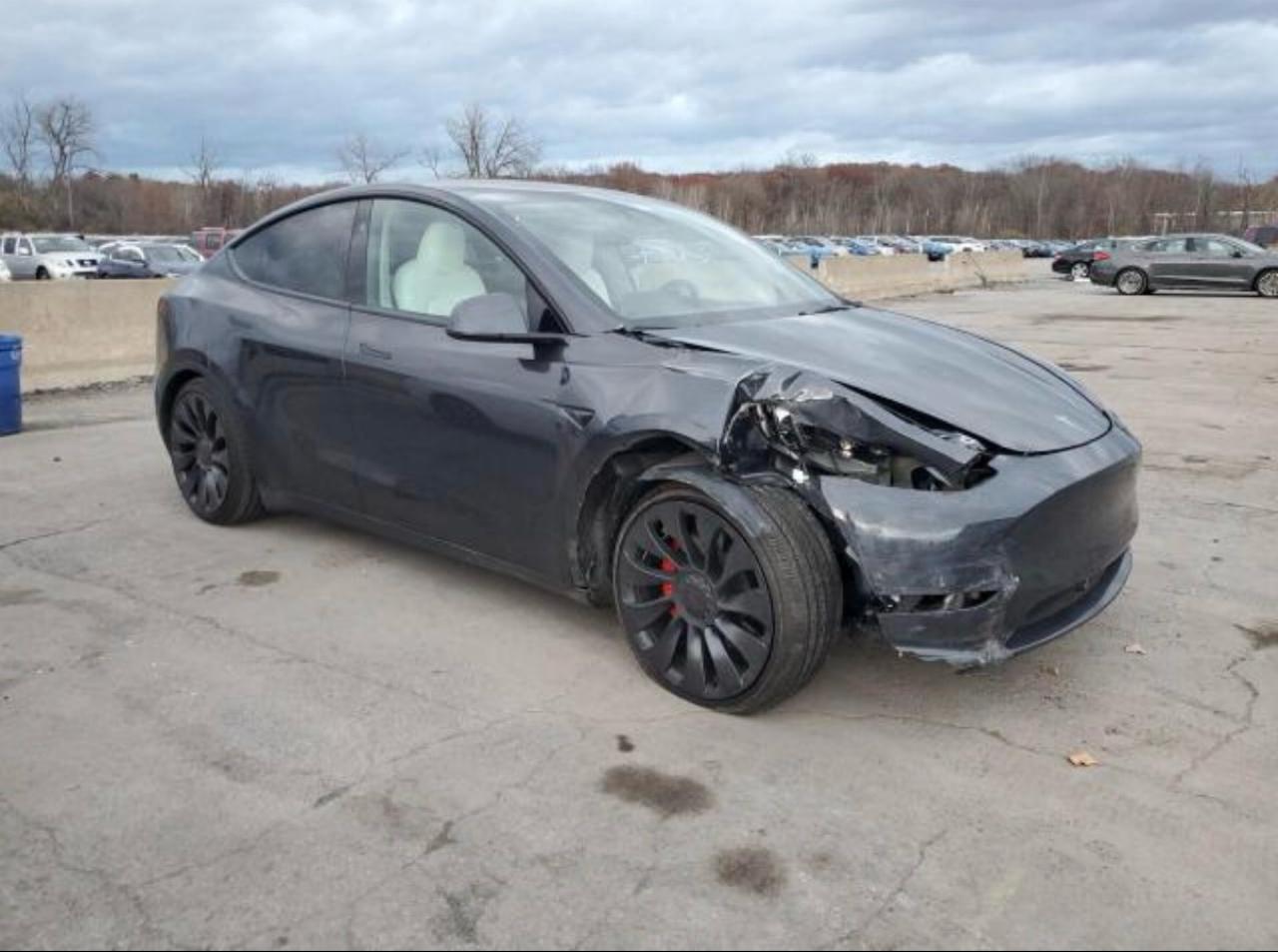 Tesla Model Y Performance 2025