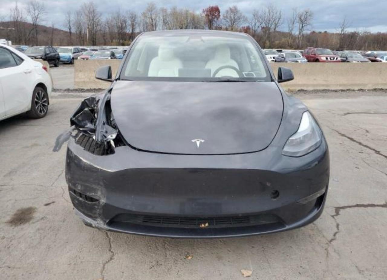 Tesla Model Y Performance 2025