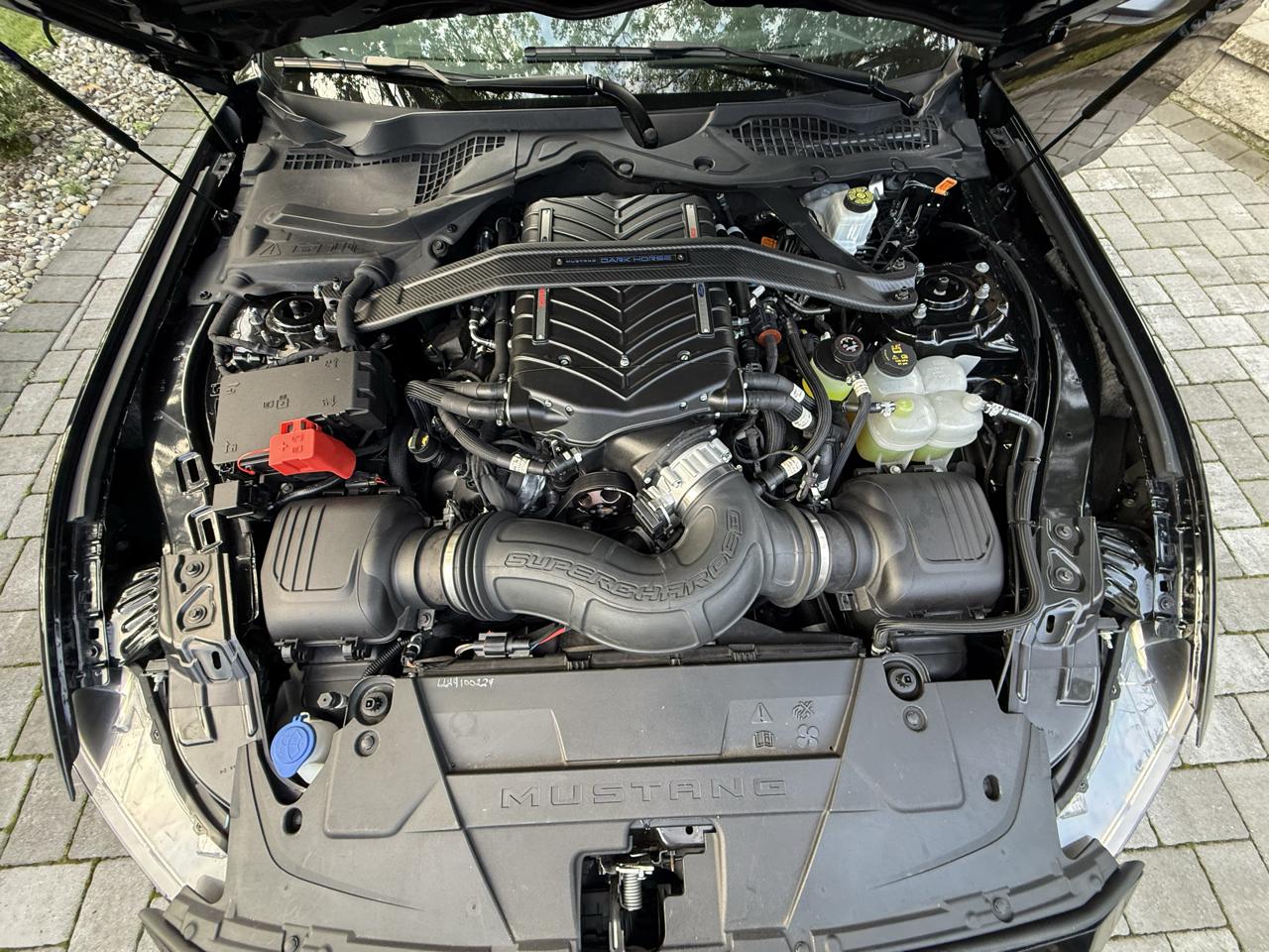 Ford Mustang Dark Horse 2024