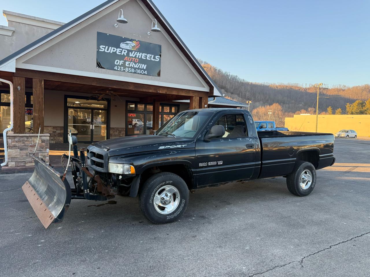 Dodge Ram 1500 Laramie SLT Reg Cab 1999