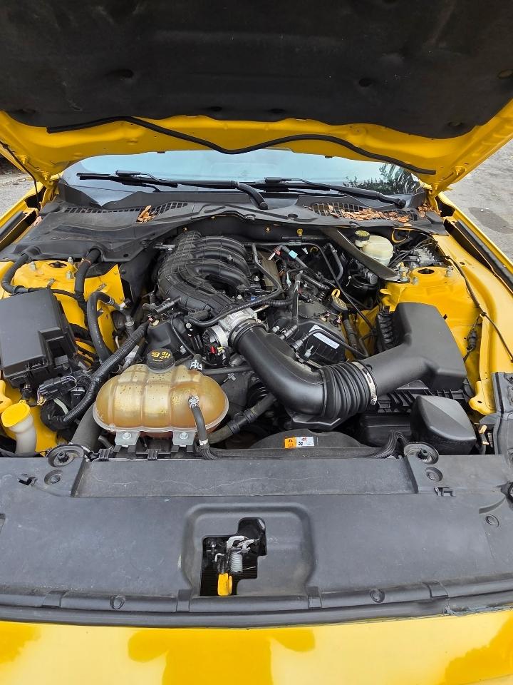 Ford Mustang V6 Convertible 2015