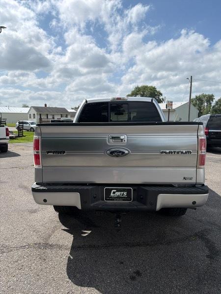 Ford F-150 Platinum SuperCrew 5.5-ft. Bed 4WD 2010
