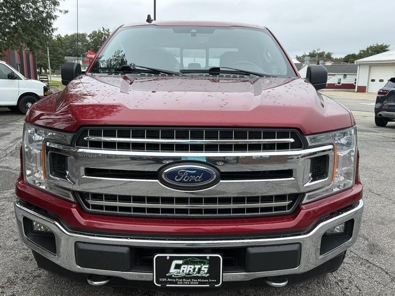 Ford F-150 4WD SuperCrew 139" XLT 2019