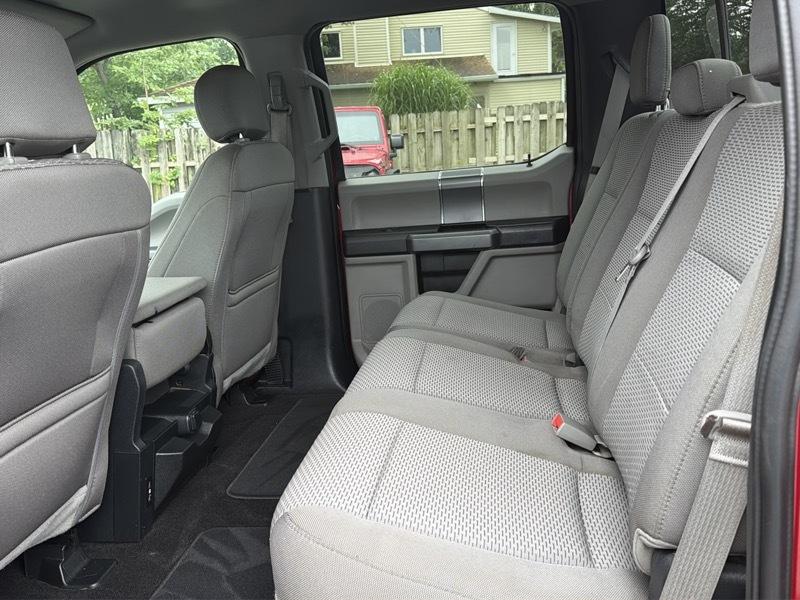 Ford F-150 4WD SuperCrew 139" XLT 2019