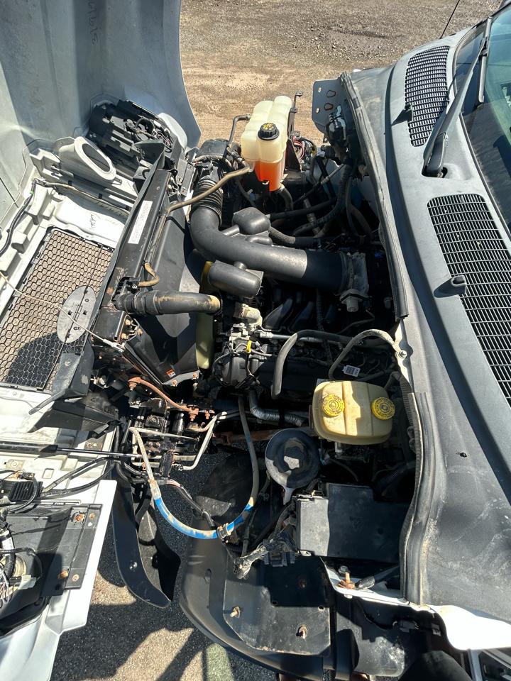 Ford Super Duty F-750 Straight Frame Gas Reg Cab 2019
