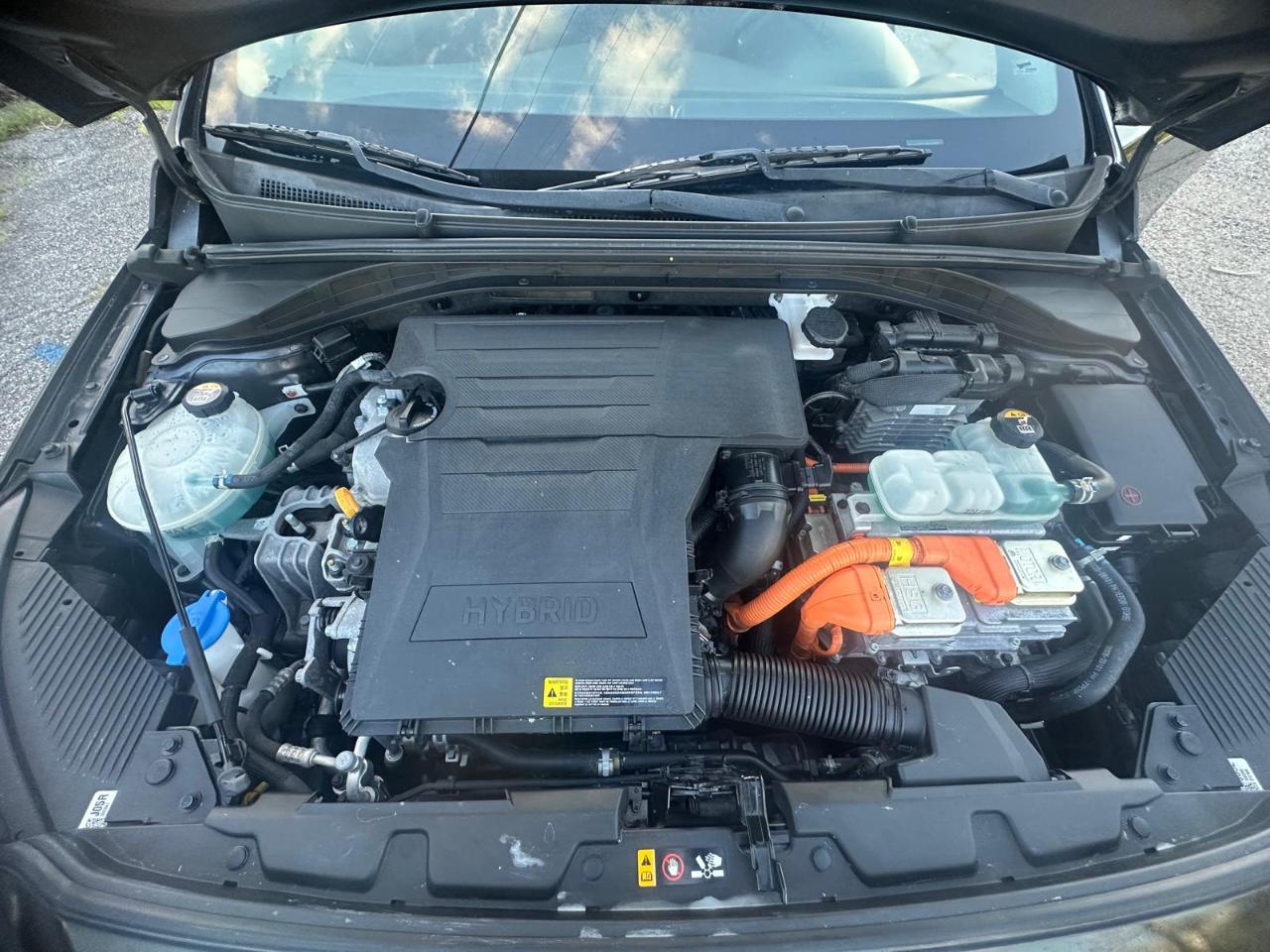 Hyundai Ioniq Hybrid Blue 2019