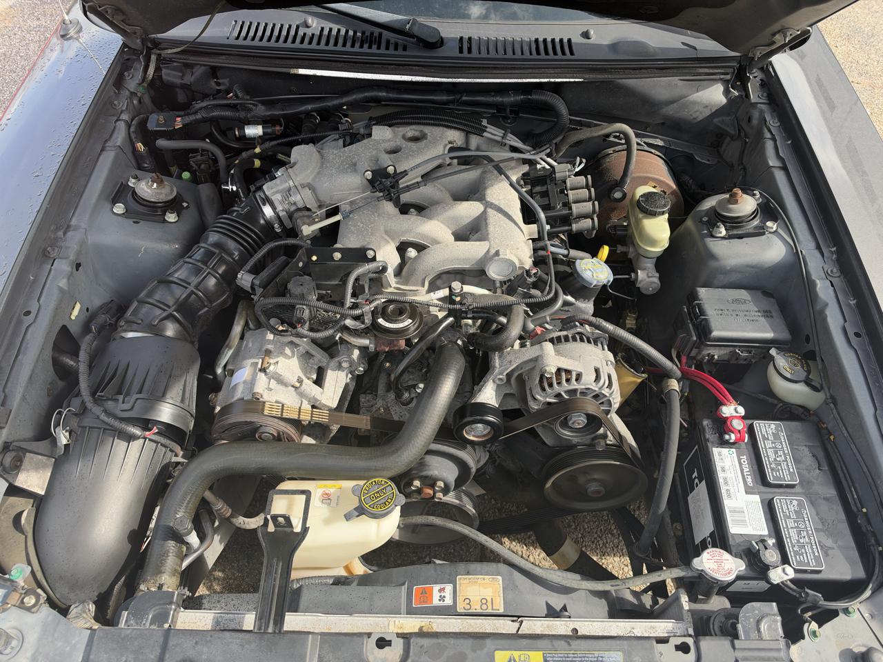 Ford Mustang 2dr Cpe Standard 2003