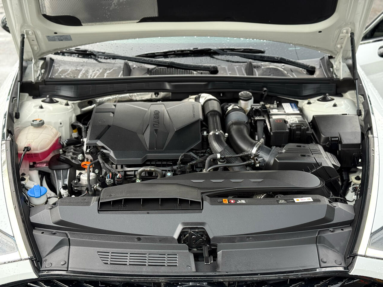 2022 Hyundai Sonata N Line photo 42