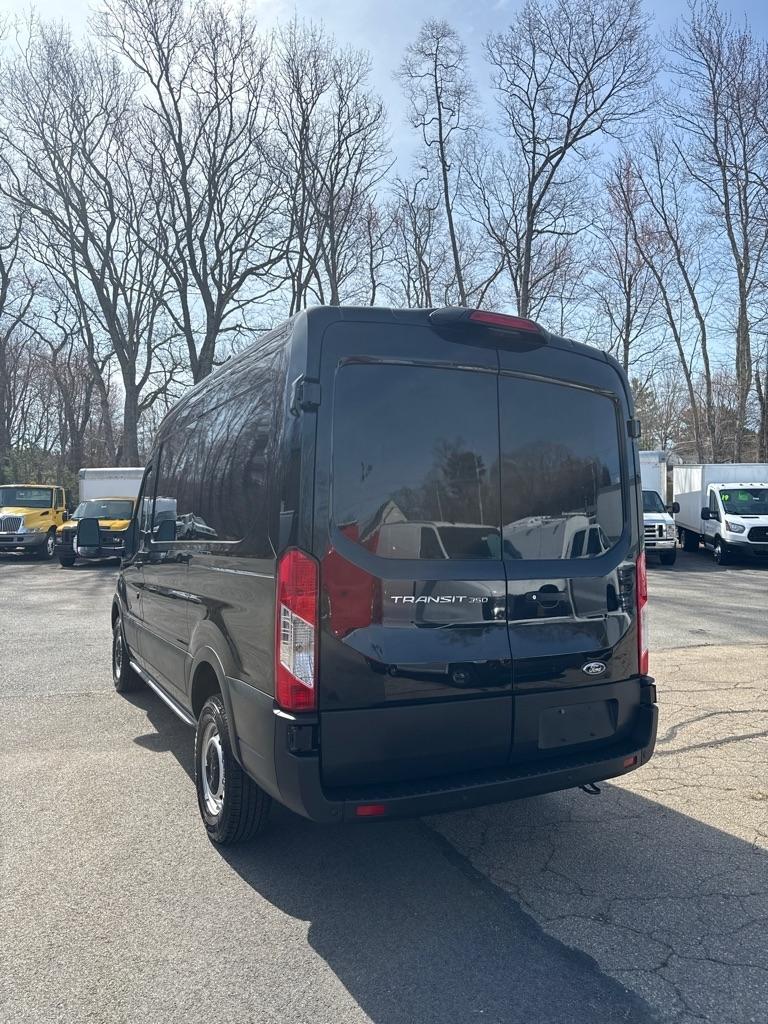 Ford Transit Cargo Van T-350 130" Med Rf 9500 GVWR RWD 2023