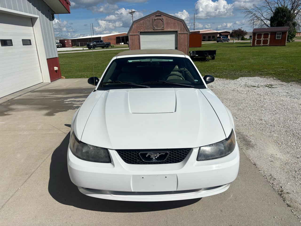 Ford Mustang Deluxe Convertible 2003