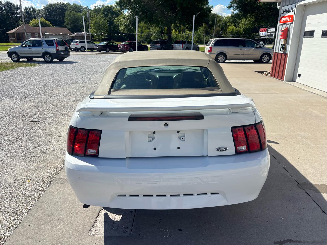 Ford Mustang Deluxe Convertible 2003