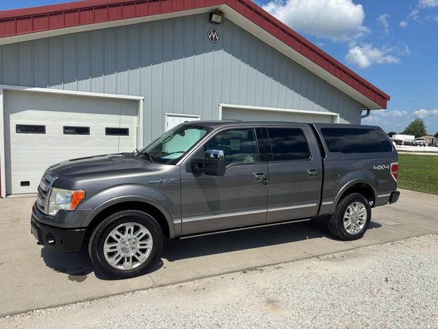 Gray 2010 Ford F-150 Pickup Truck Four-Wheel Drive Automatic