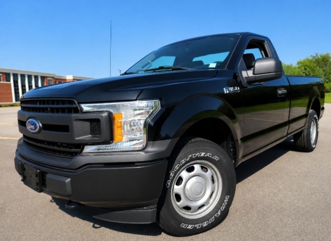 Ford F-150 4WD Reg Cab 141" XL 2019