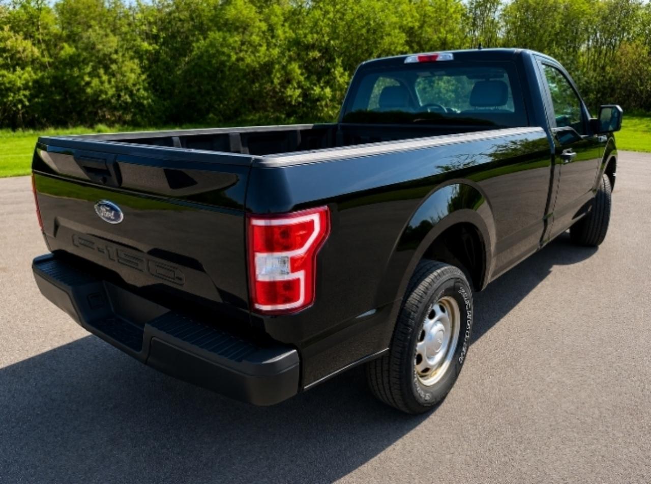 Ford F-150 4WD Reg Cab 141" XL 2019