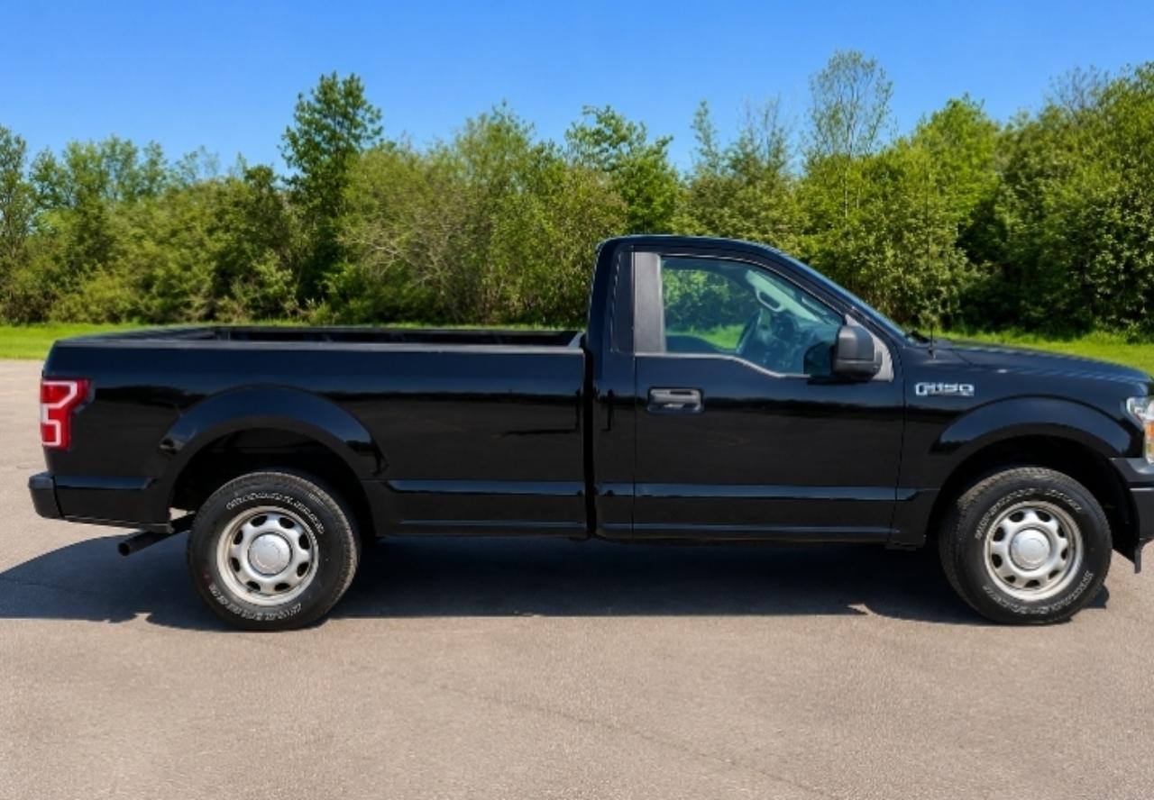 Ford F-150 4WD Reg Cab 141" XL 2019