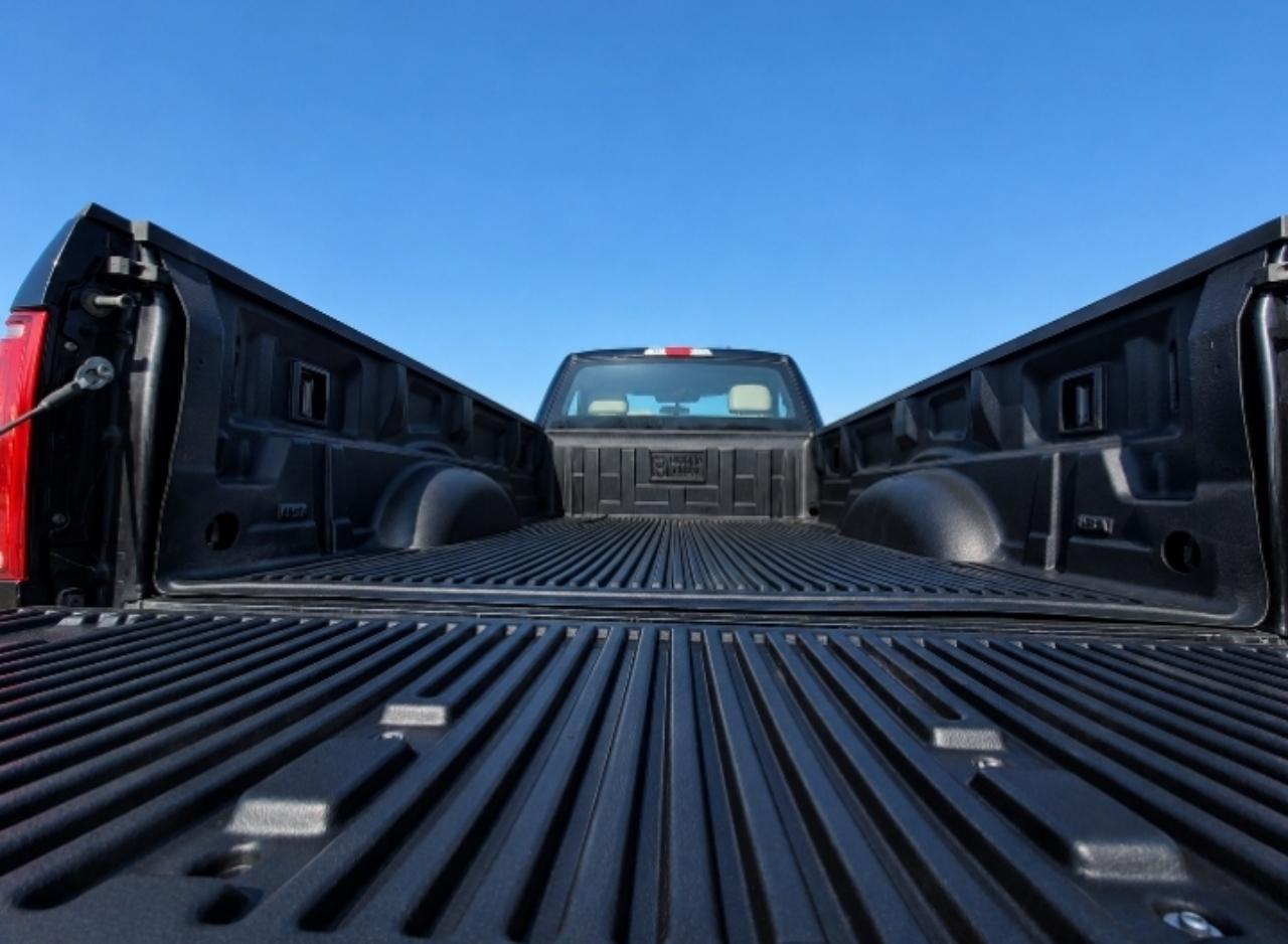 Ford F-150 4WD Reg Cab 141" XL 2019